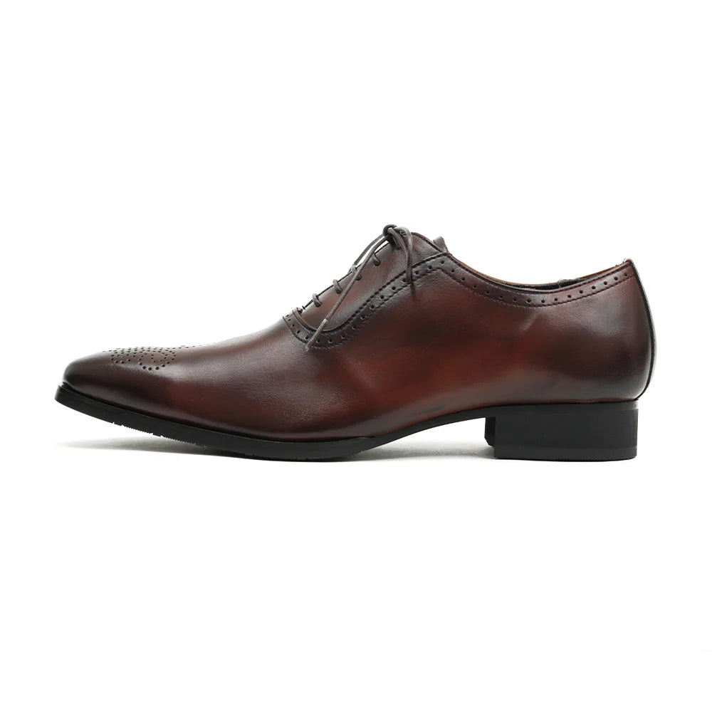 602 MEDALLION / Dark Brown