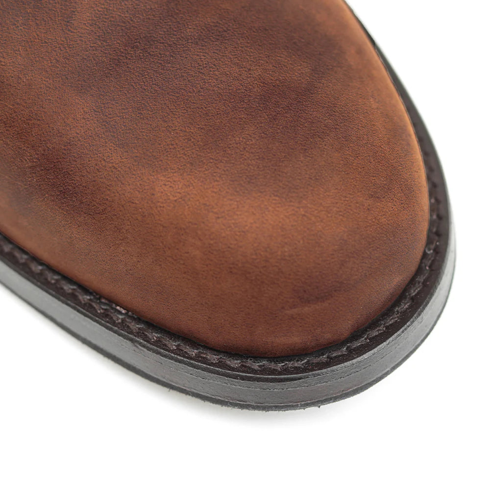 0075 PROUD / Reddish Brown